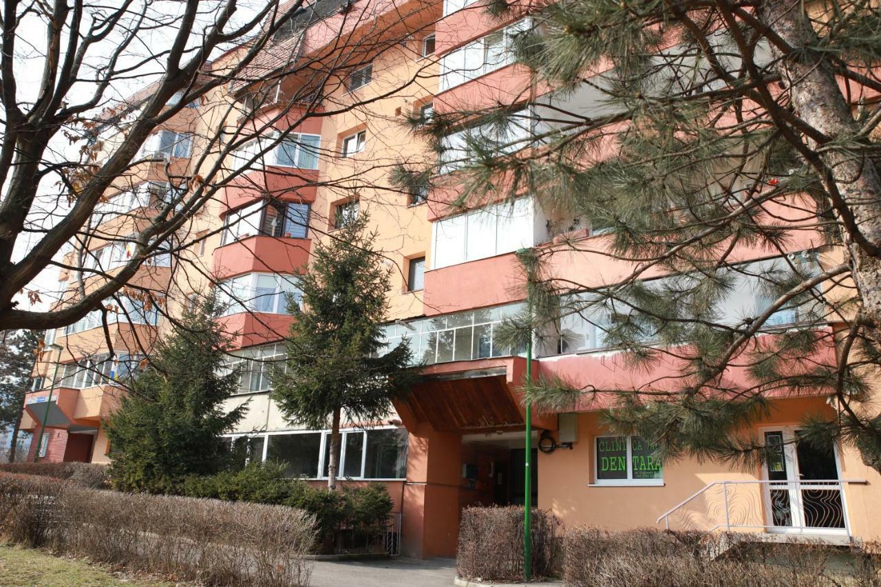 Cozy Apartment In Брашов Екстер'єр фото